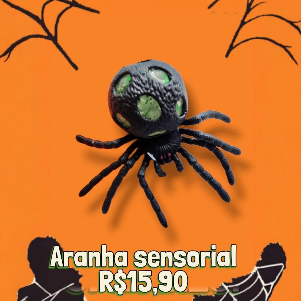 ARANHA SENSORIAL  GRANDE